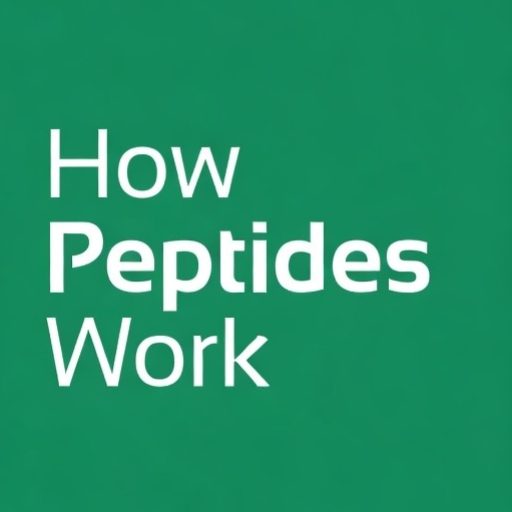 How Peptides Work
